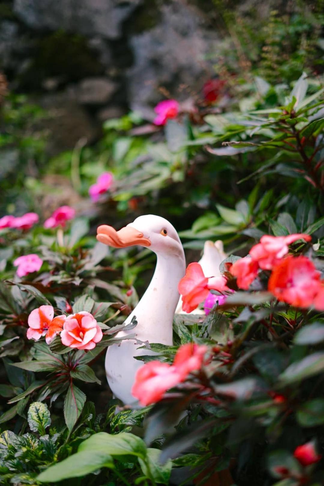Gardens Guest House เซาวิเซนเจ ภายนอก รูปภาพ